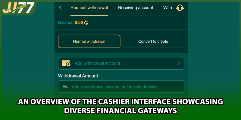 An overview of the cashier interface showcasing diverse financial gateways